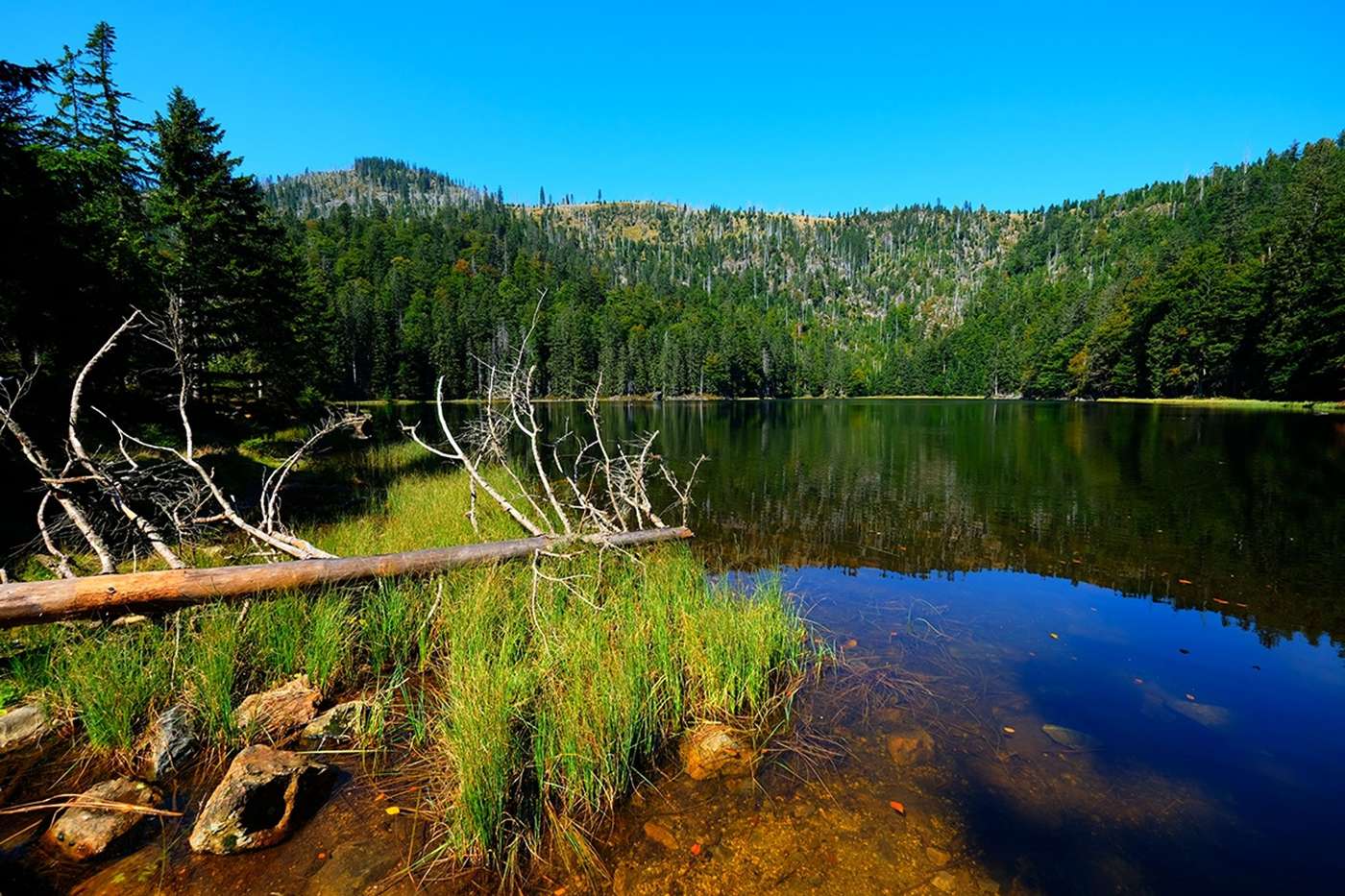 Geheimnisvoller Gletschersee und Bergpanorama