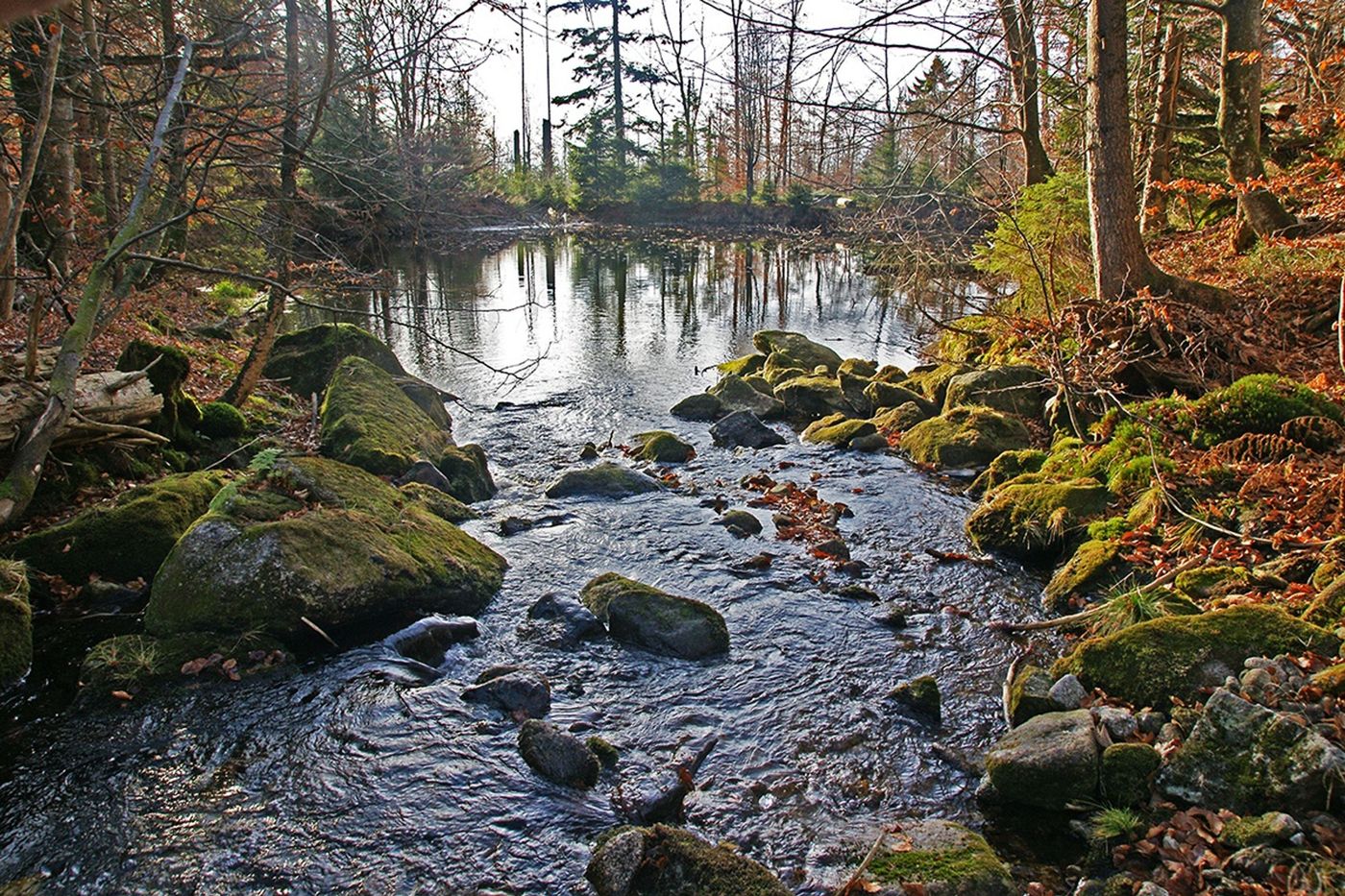 Historisches Stauwerk in unberührter Natur