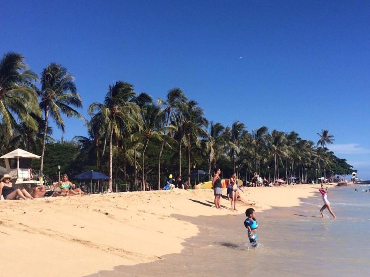 Waikiki Beach 🏝 🏄🏻‍♂️ 