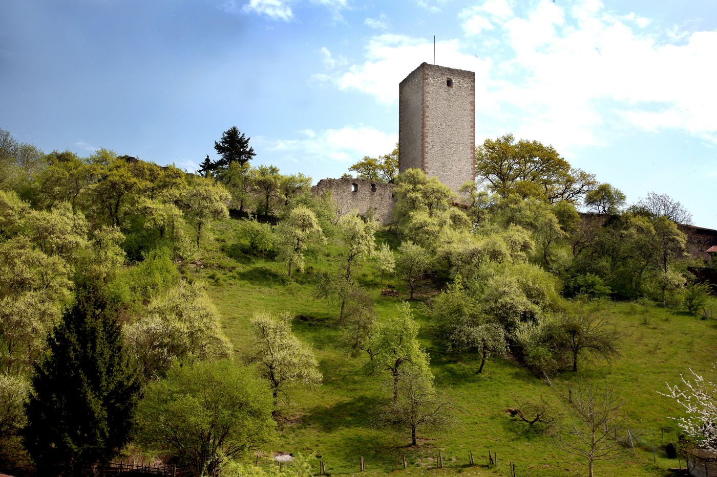 Auf die Ritterburg