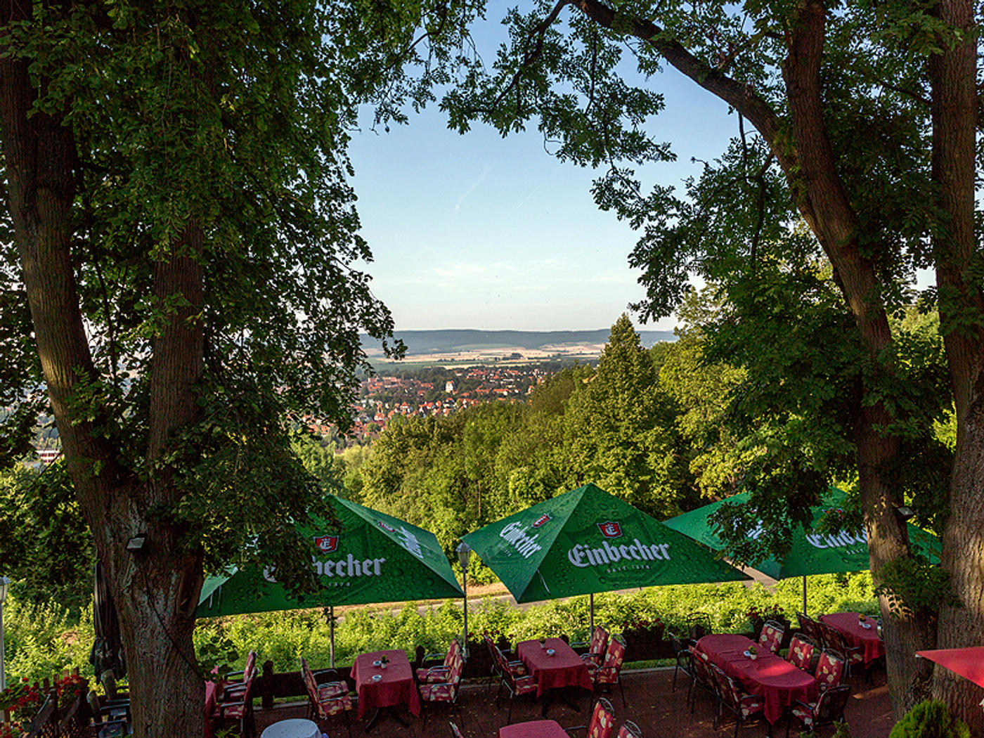 Kulinarischer Genuss im Grünen