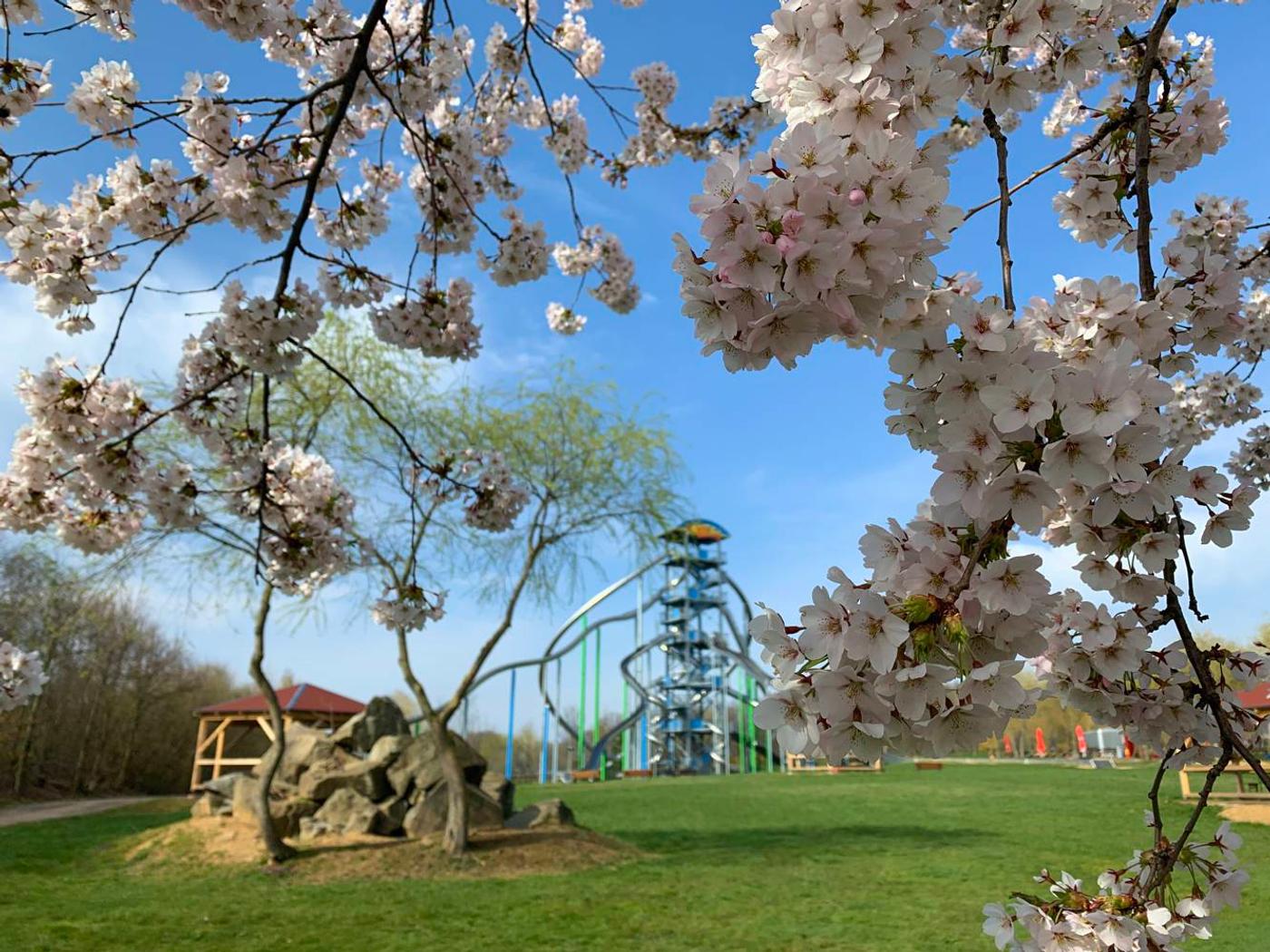 Natur trifft auf Spiel