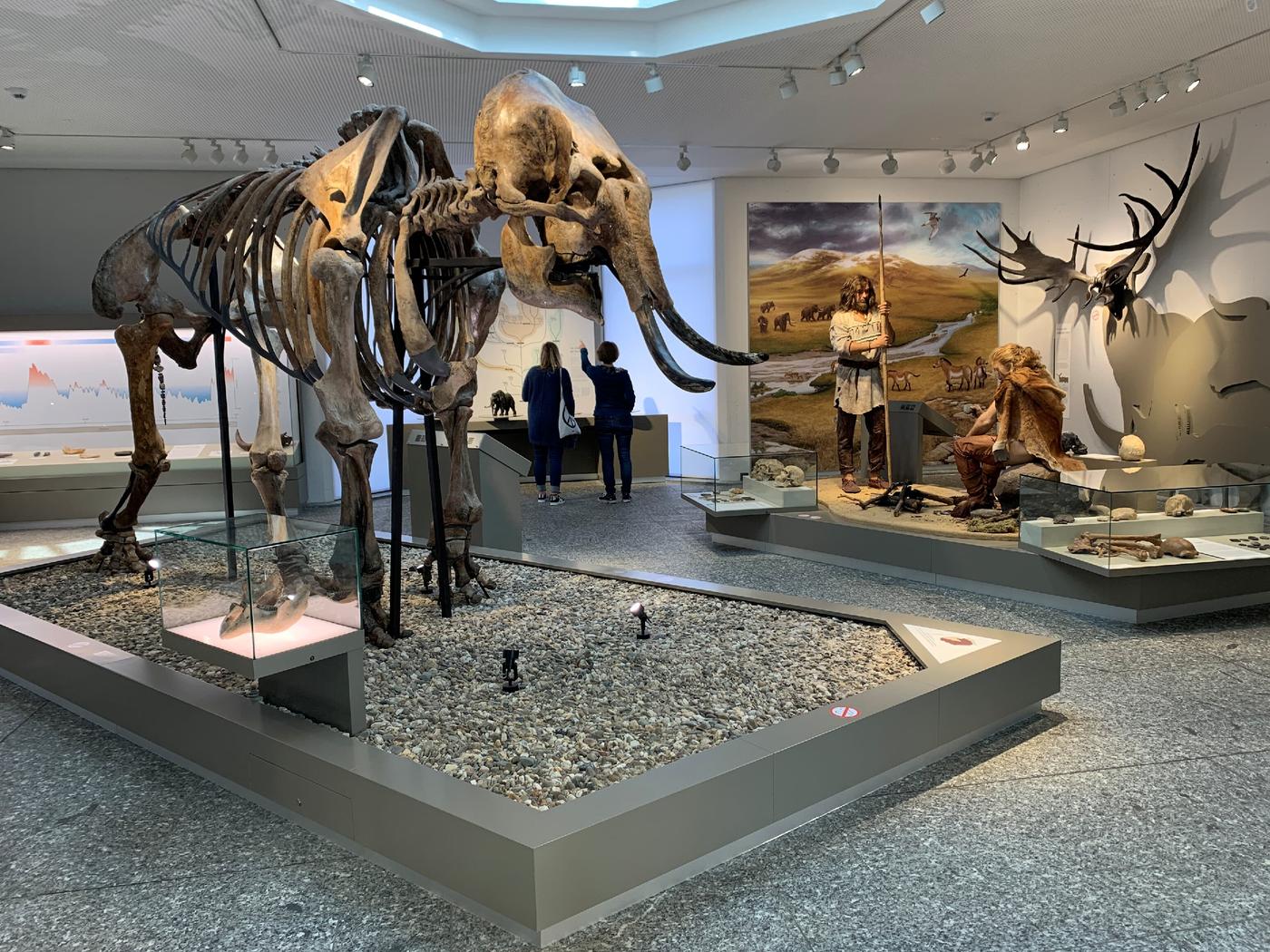 Faszinierende Naturerlebnisse