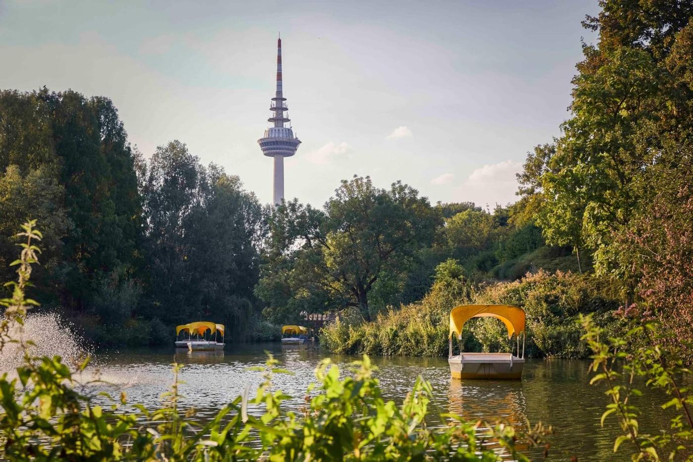 Oase der Entspannung