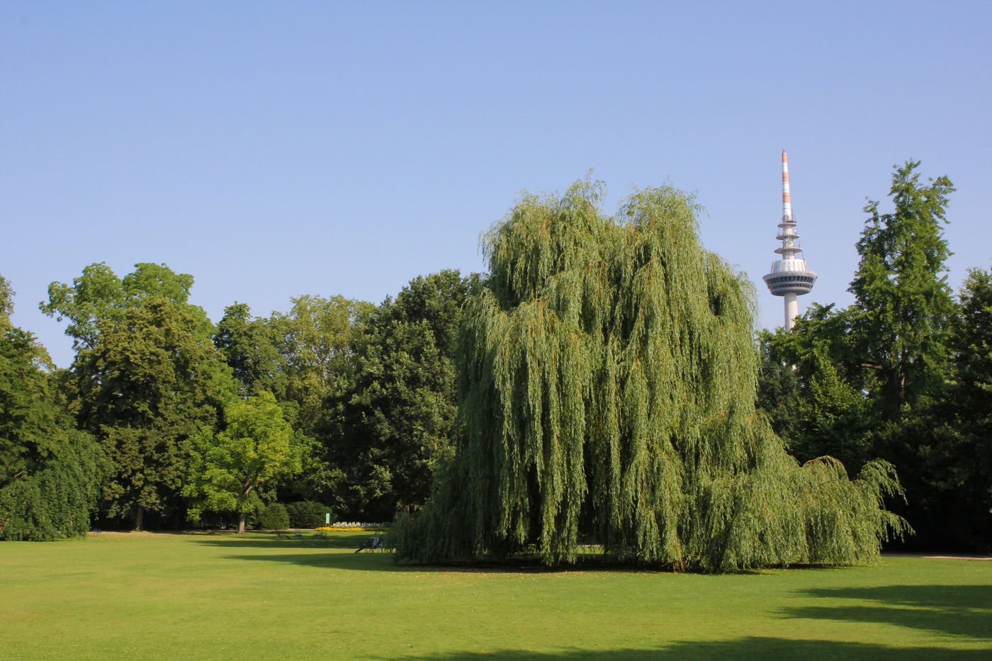 Entspannung in der schönsten Parkanlage Mannheims