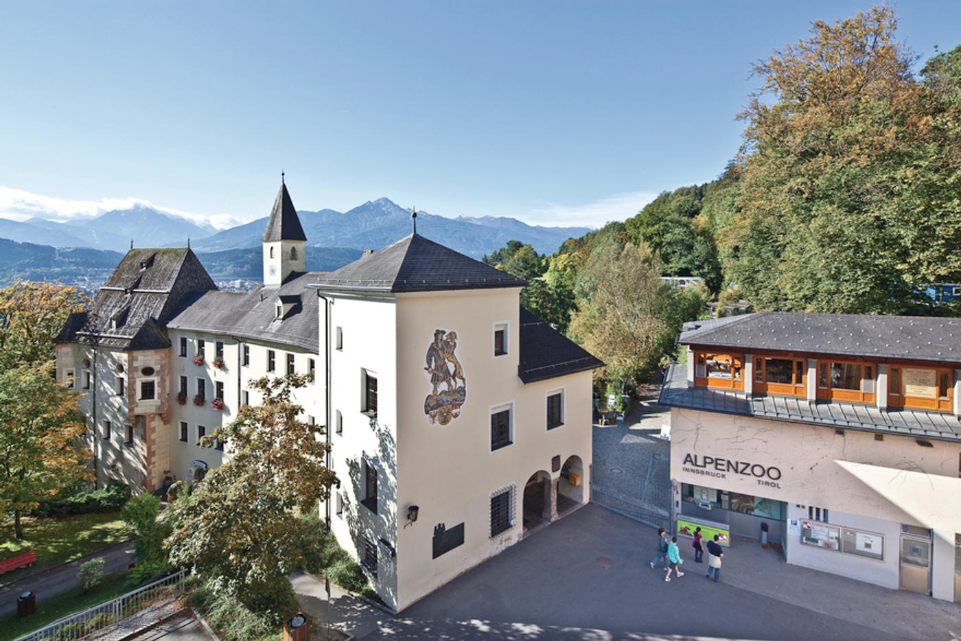 Einzigartige Begegnung mit der alpinen Tierwelt