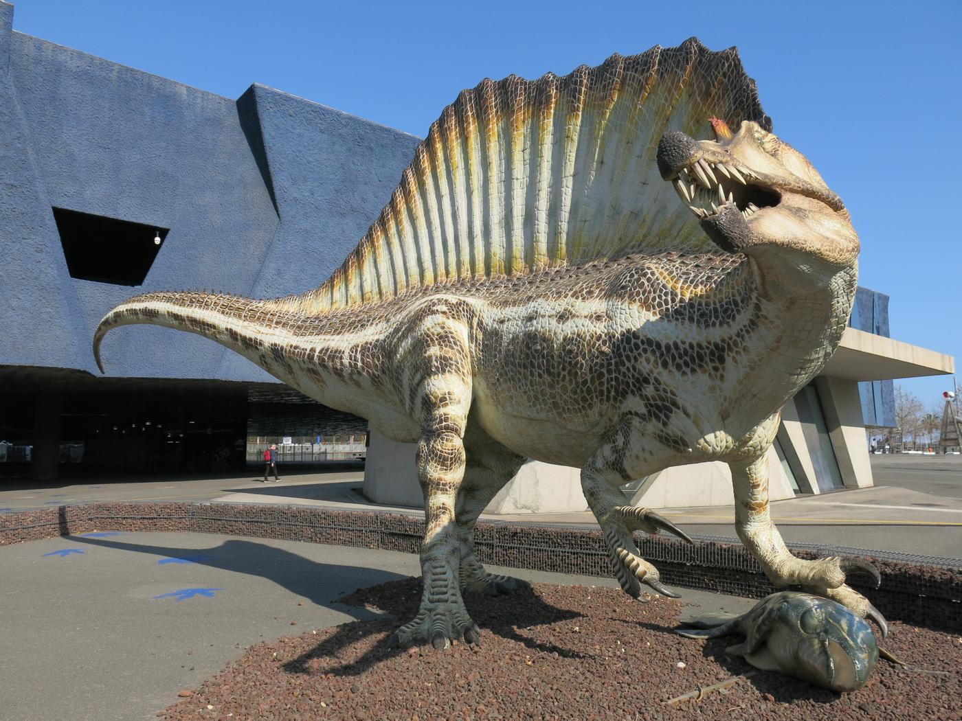 Eine Reise durch die Zeit