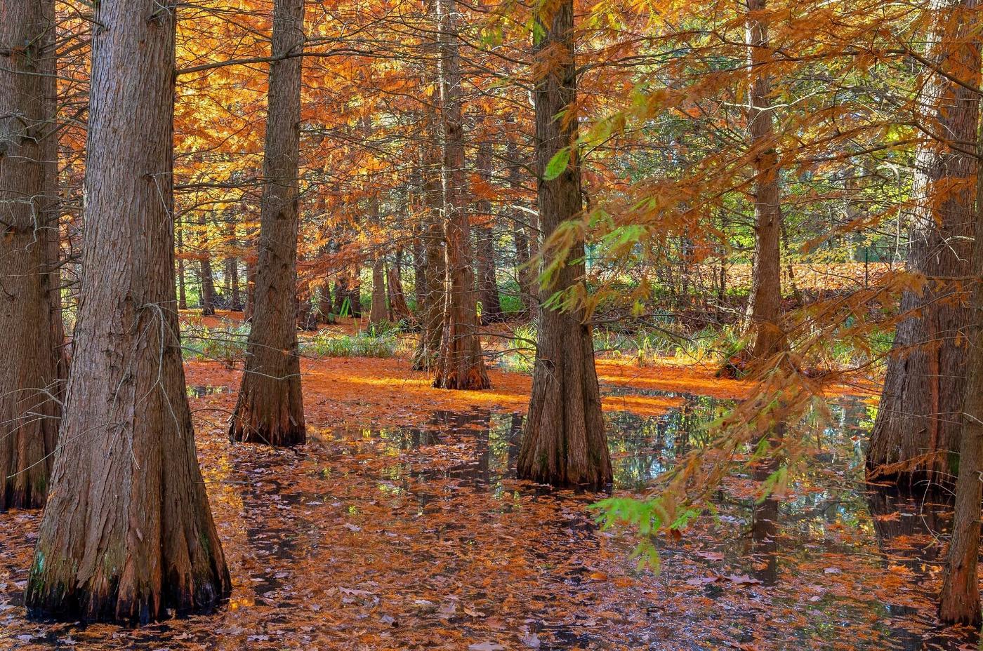 Park der fließenden Gewässer
