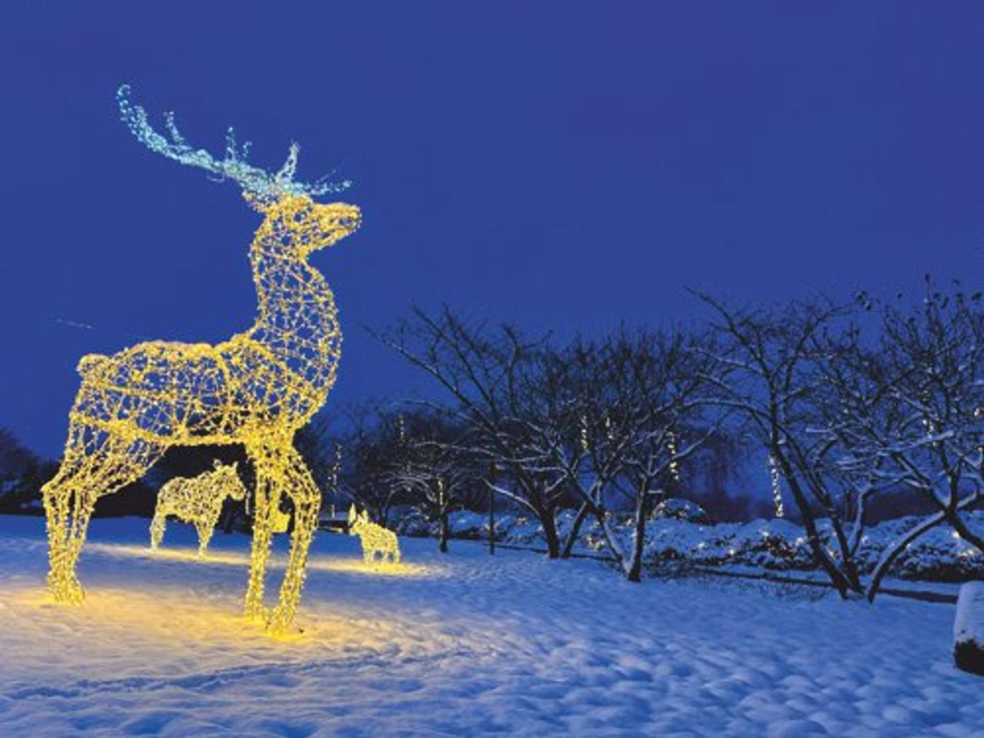 Nächtliche Lichterzauber-Wanderung