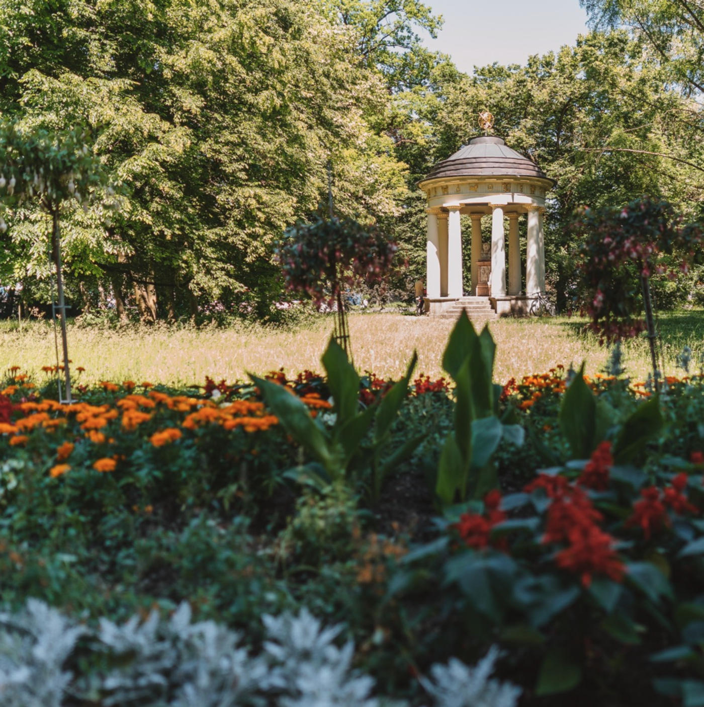 Auf den Spuren des Genies
