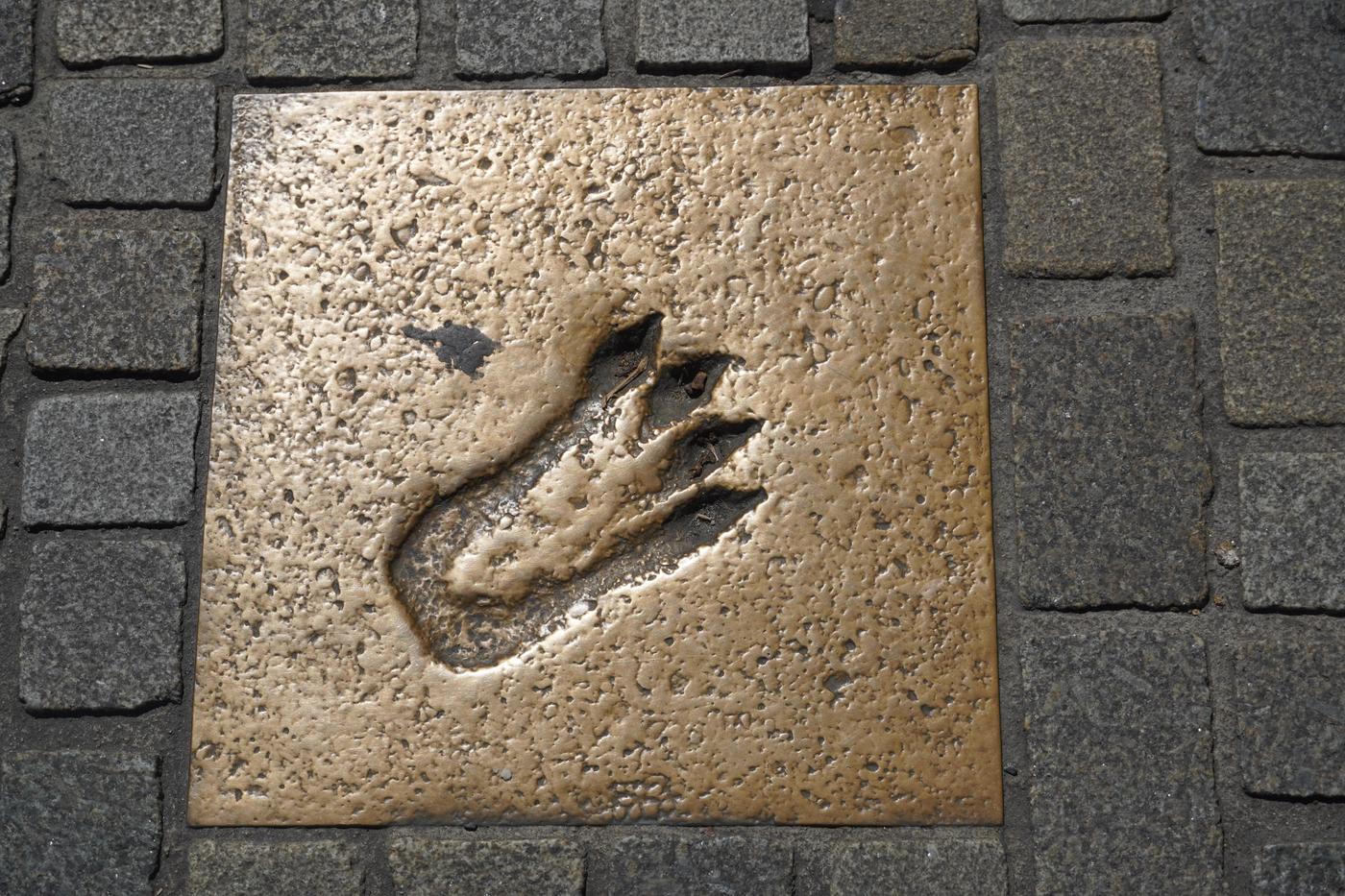 Geheimnisvolle Spuren entdecken